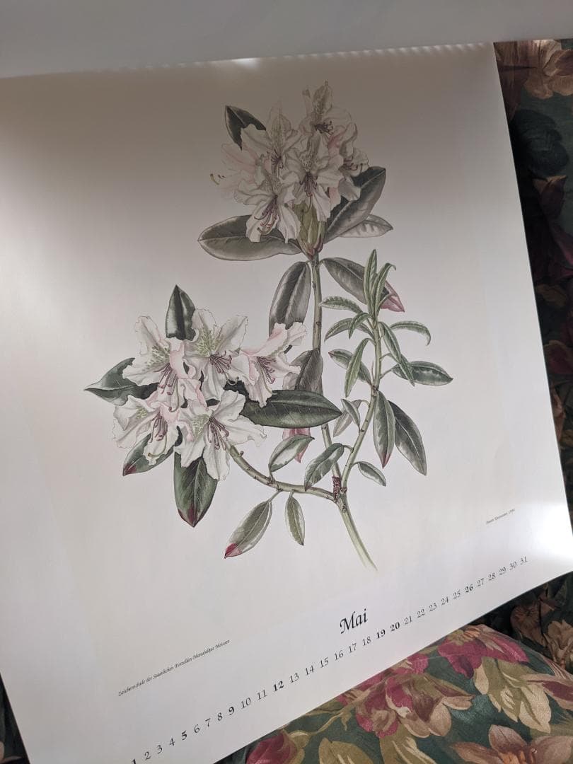 マイセン　カレンダー