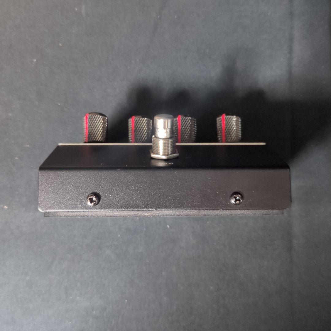 ギター EDEN GLOWPLUG