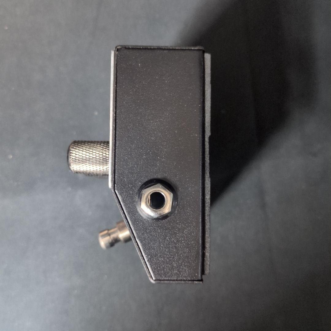 ギター EDEN GLOWPLUG