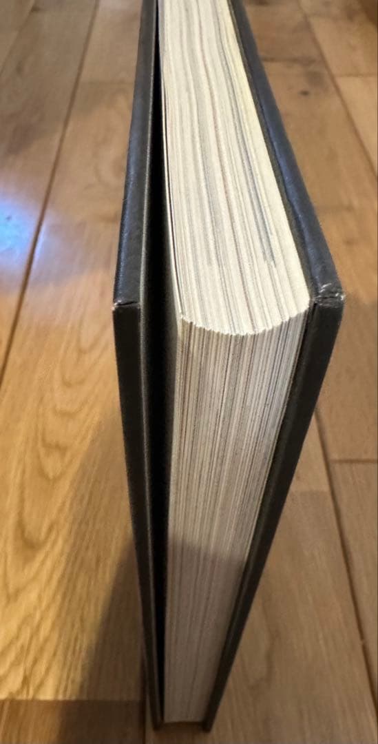 N*！様 希少アントワープ6 + ANTWERP FASHION 図録マルジェラ