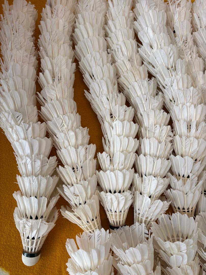 バドミントン　シャトル ノック用　360球セット　ヨネックス　ゴーセン