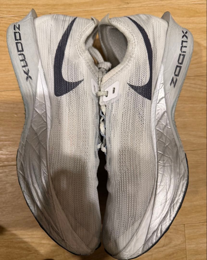 NIKE ストリークフライ2 25.5