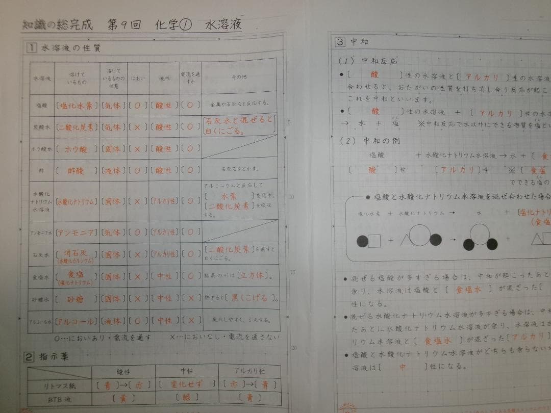 サピックス＊６年＊理科／知識の総完成・全１９回完全版＊赤シート対応／入試直前暗記