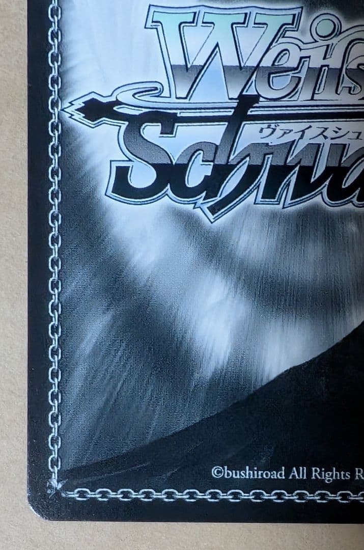 ヴァイス　みずがき湖を眺めて あおい　SSP　ゆるきゃん