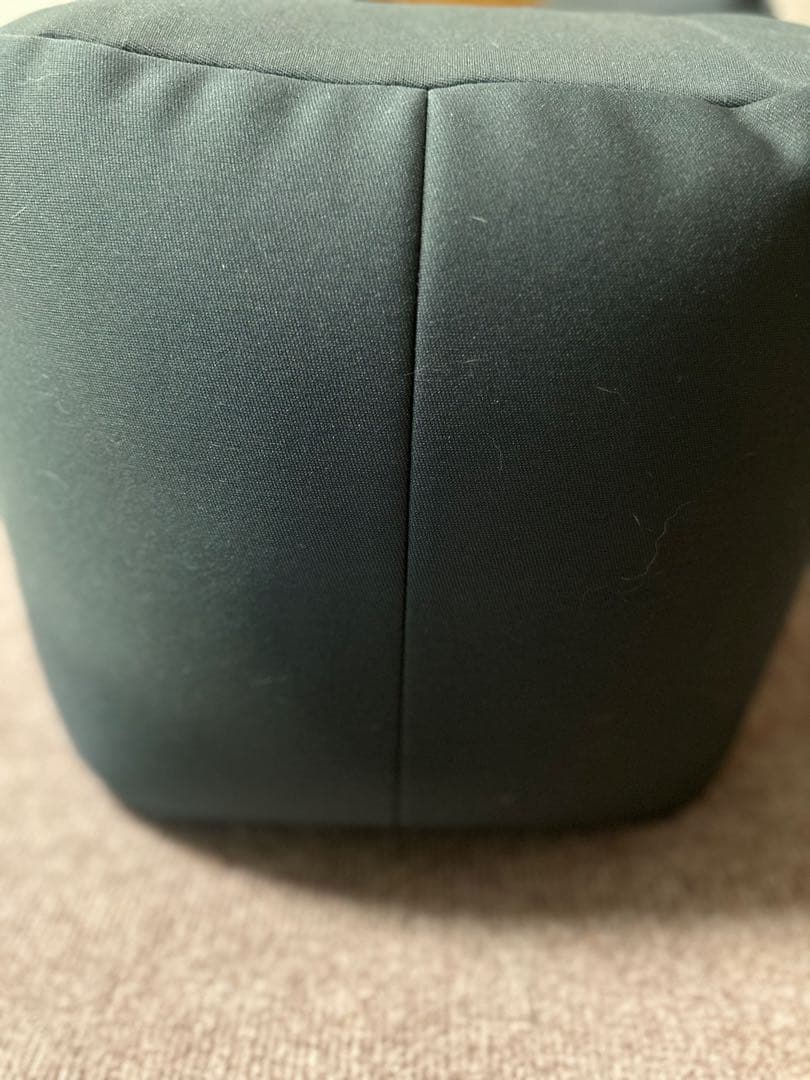 ワッタサラ　ONE Aid リラクッションLLサイズ カバーなし 美品