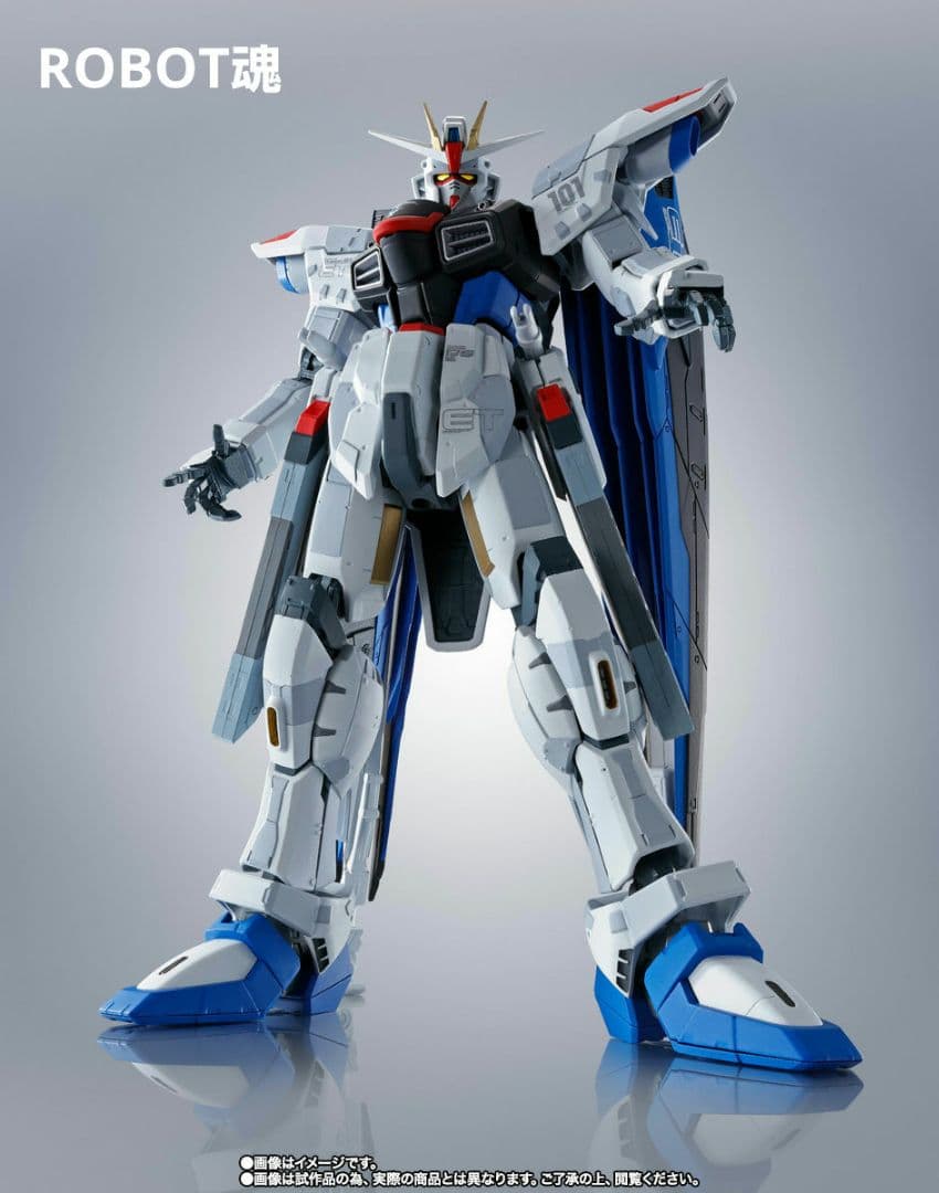 超合金 ROBOT魂 フリーダムVer.GCP　RG MSN-04FF サザビー