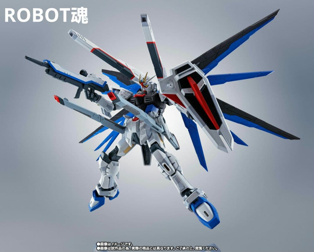 超合金 ROBOT魂 フリーダムVer.GCP　RG MSN-04FF サザビー