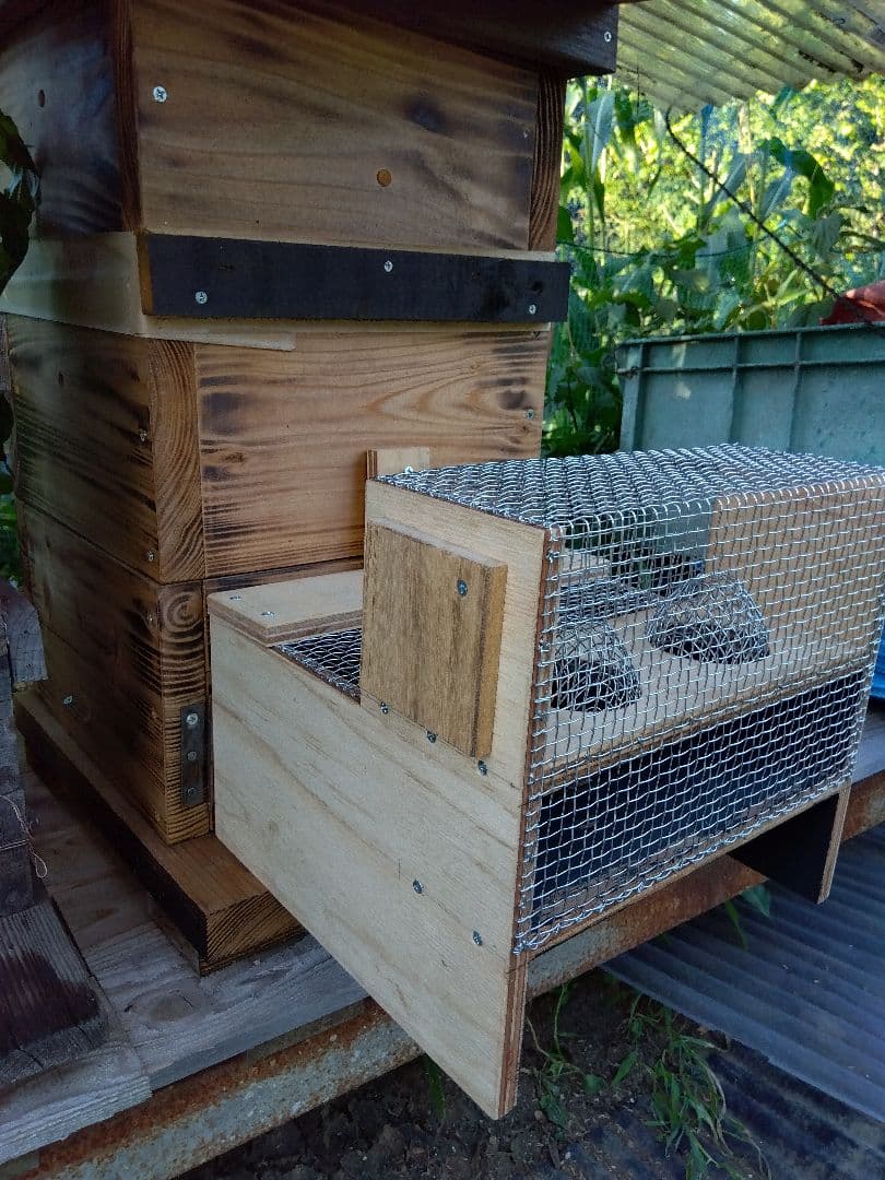 スズメバチトラップ ２個売り 別名 スズメバチ捕獲器 スズメバチ生捕り器