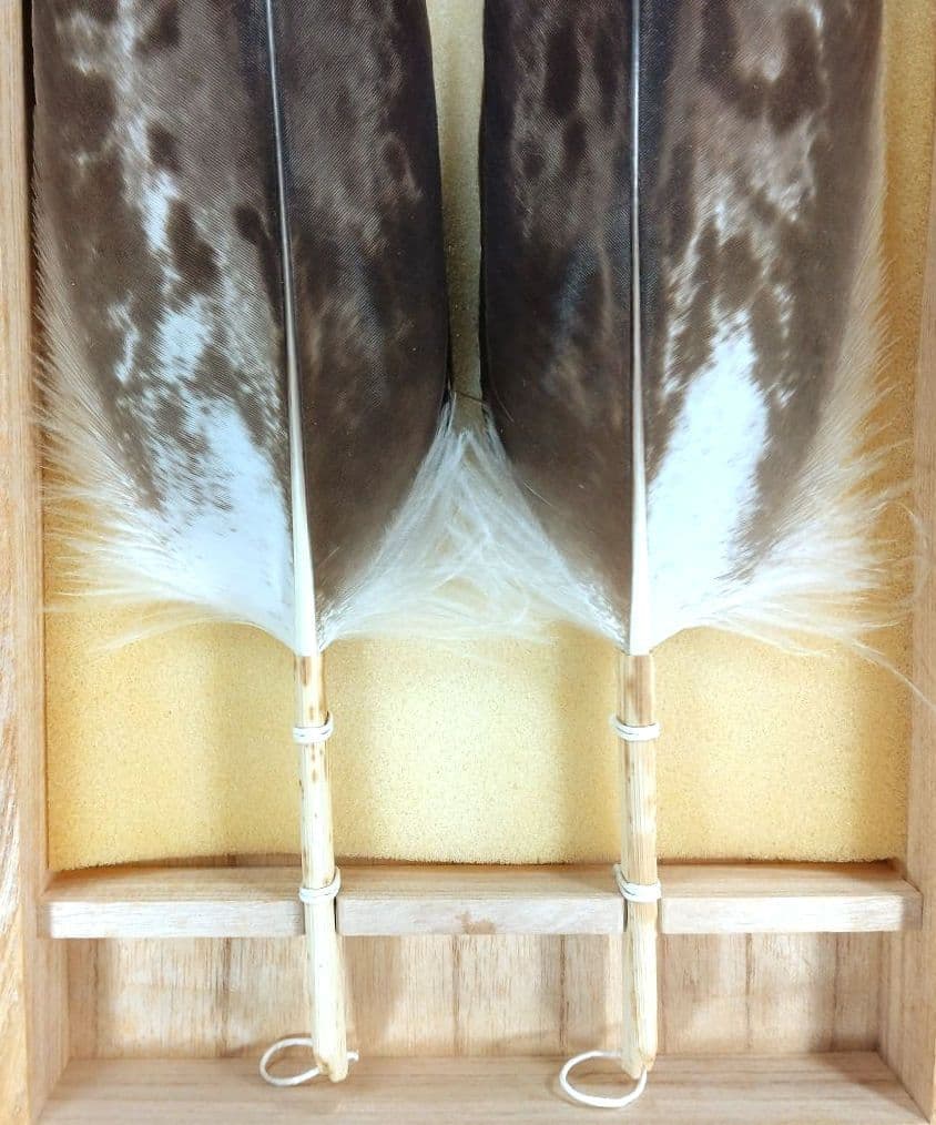 飛来一閑 磯鷲羽箒一双≪裏千家十五代 鵬雲斎 書付≫共箱 出荷当初からの外紙箱