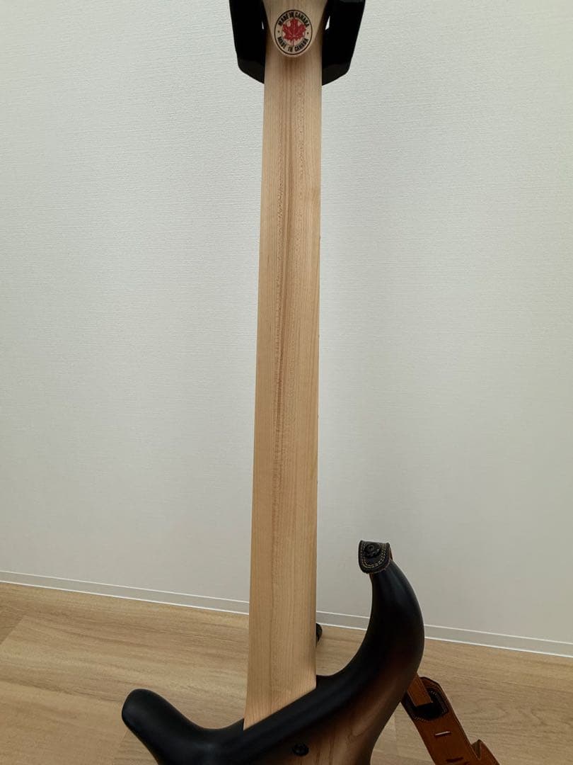 F-bass BN5 Brown Sunburst 18年製