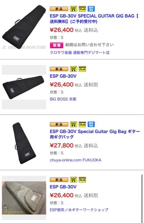 ESP GB-30V セミハードケース