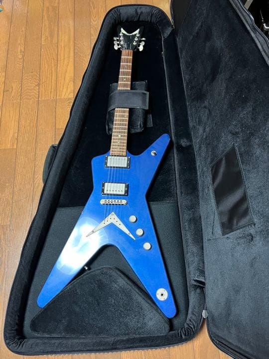 ESP GB-30V セミハードケース