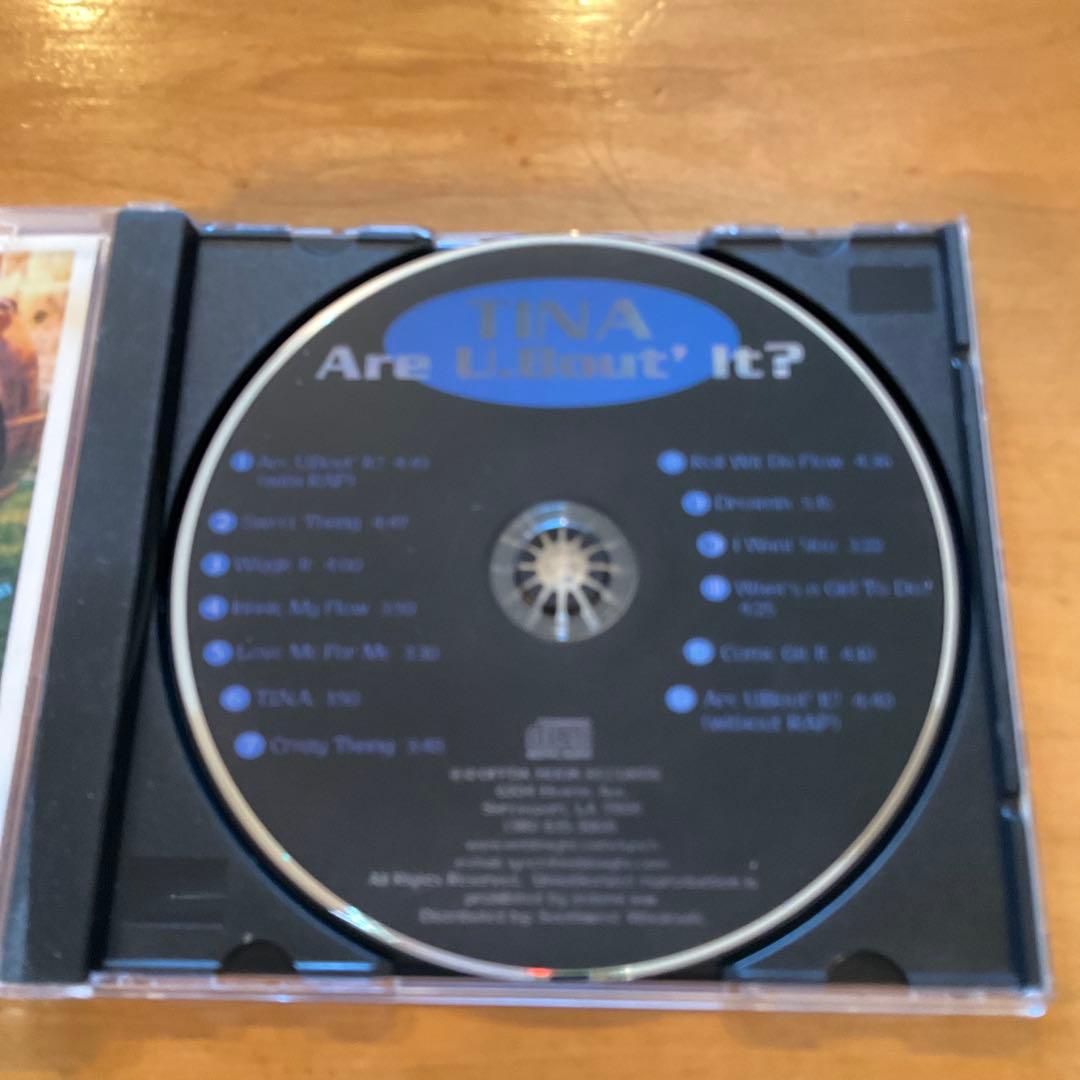 Indie Soulレア盤　TINA / Are You 'Bout It?