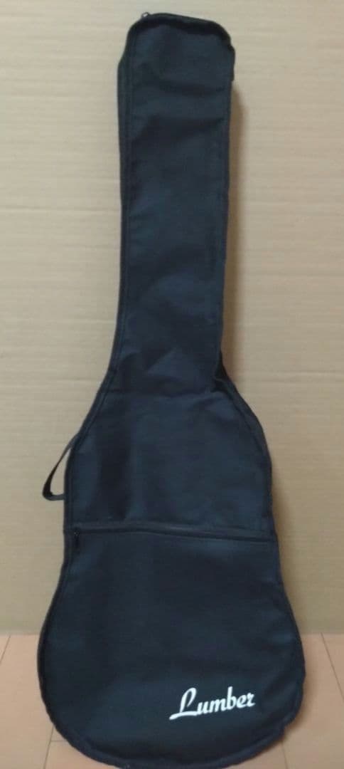 アコースティックミニギター LumberL100MNA ケース他付属品５点
