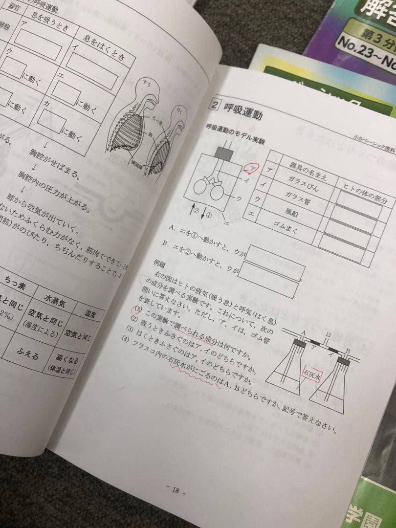 希学園　小5ベーシック算数/理科　第1～第4分冊　中古　2023年使用