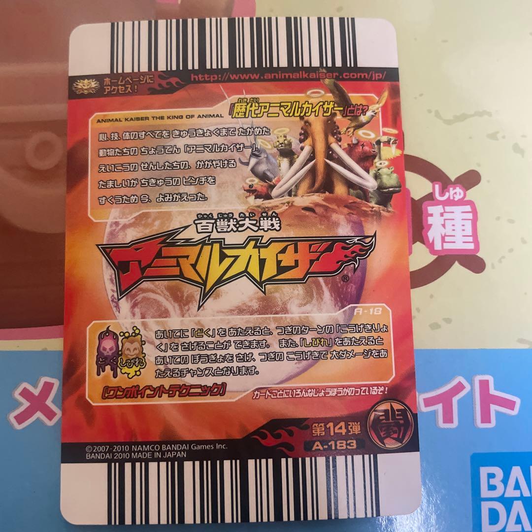 アニマルカイザー　まとめ売り