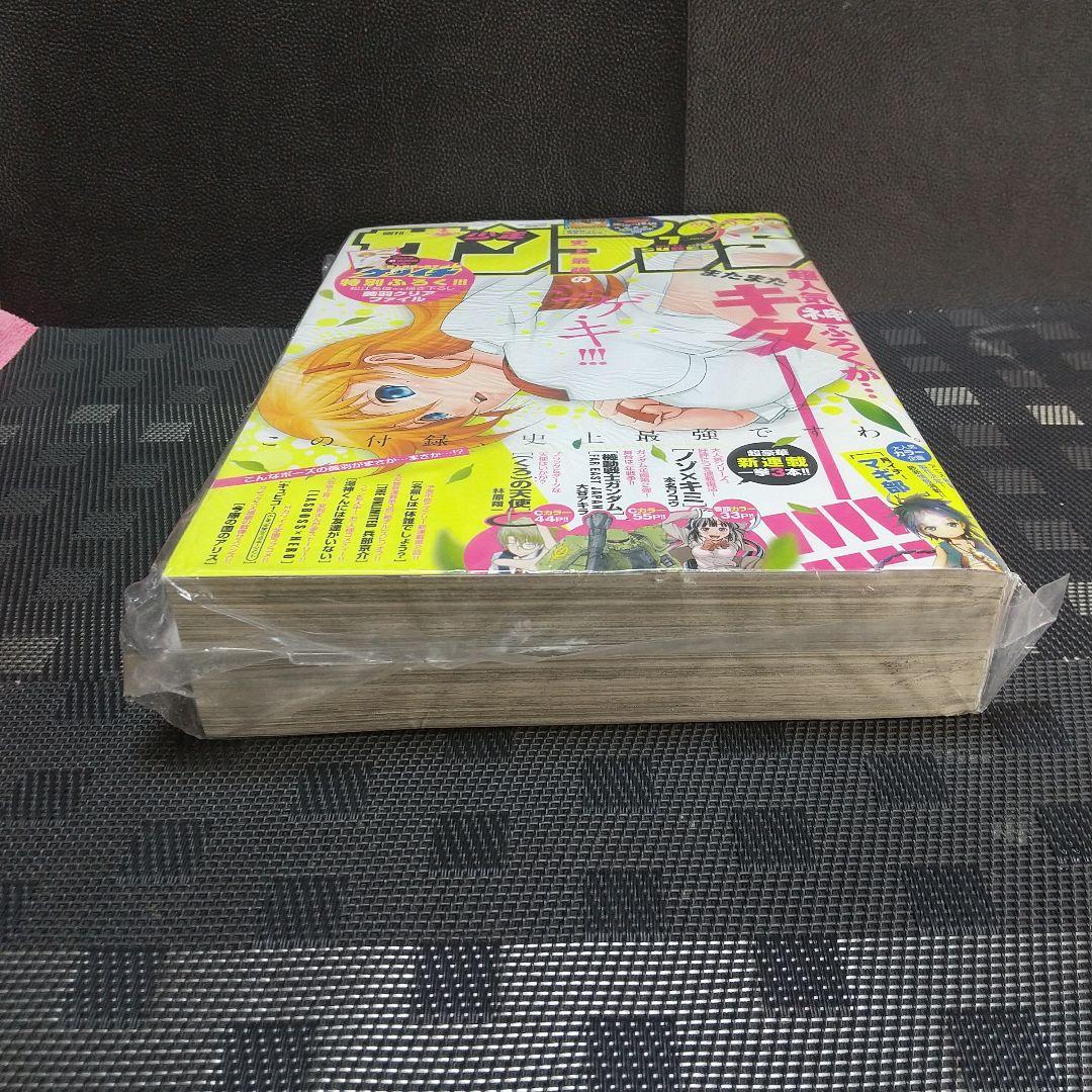 少年サンデーS 2013年7月号※史上最強の弟子ケンイチ※の美羽クリアファイル