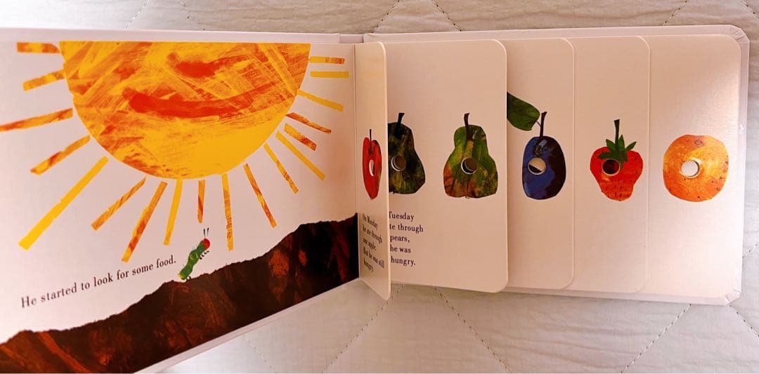 11冊セットEric Carle（エリック・カール）ボードブック絵本教材幼児向け