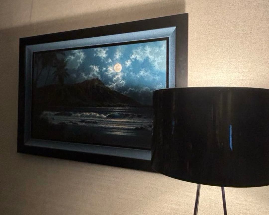 1点物　美品　ロイ.タボラ Jewel of the Night