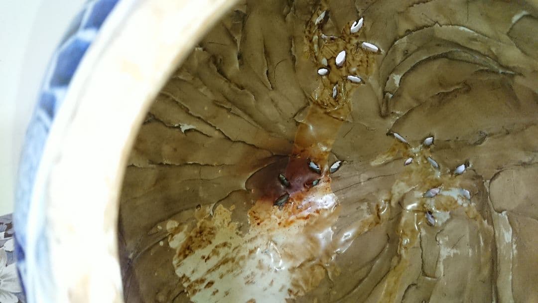 稀少 在銘 陶器製 中国 五良大甫呉祥瑞造 染付 獅子 香炉 高さ20.5cm