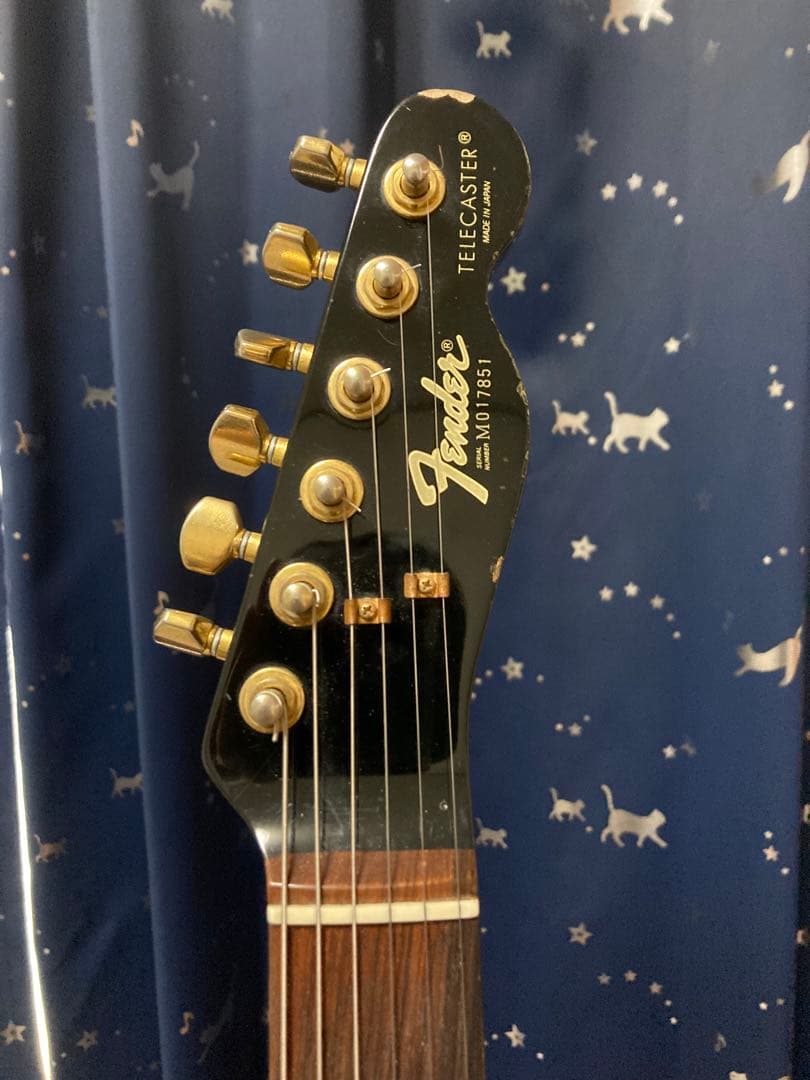 Fender Japan TLG80-60 （フェンダージャパン）