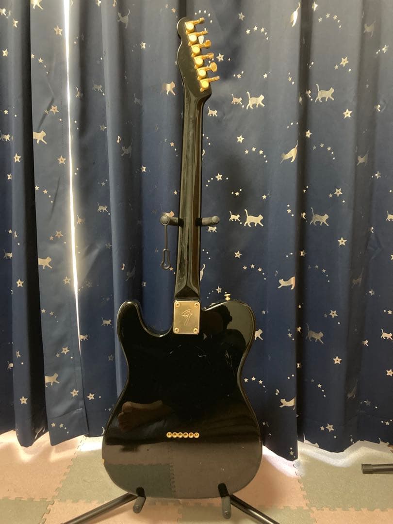 Fender Japan TLG80-60 （フェンダージャパン）