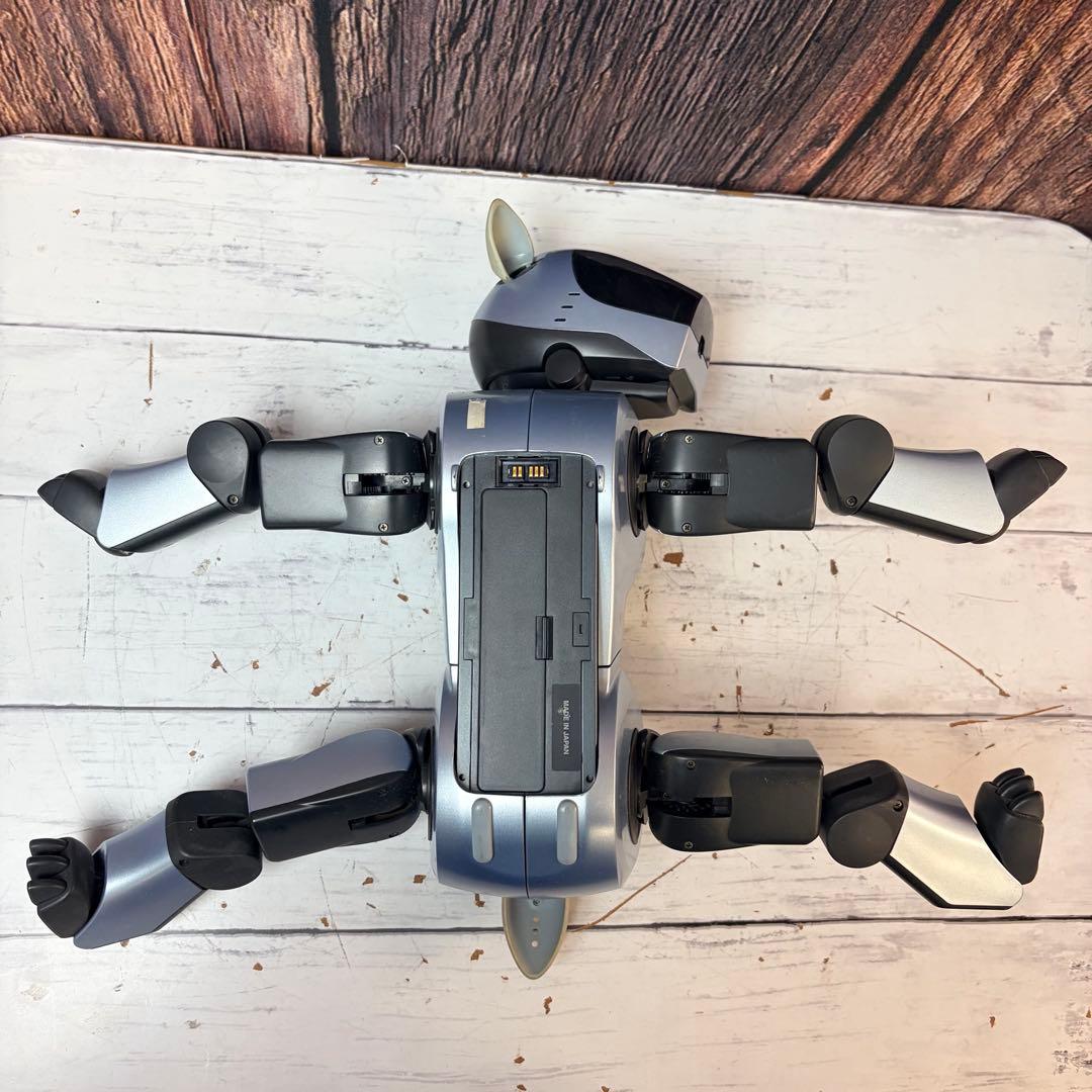 SONY ソニー AIBO アイボ ERA-210P1 シルバー 通電確認済