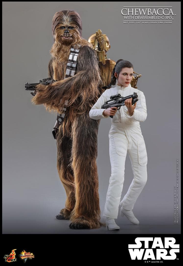 ホットトイズ 1/6 チューバッカ ＆ C-3PO (分解) MMS766