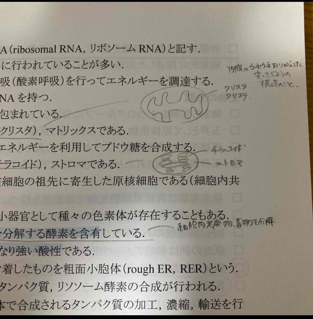 【2024年度】　KALS 基礎・完成シリーズ(生物、化学、物理、英語、数学)