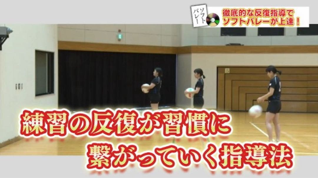 ソフトバレーボール上達革命 Disc 1 .2