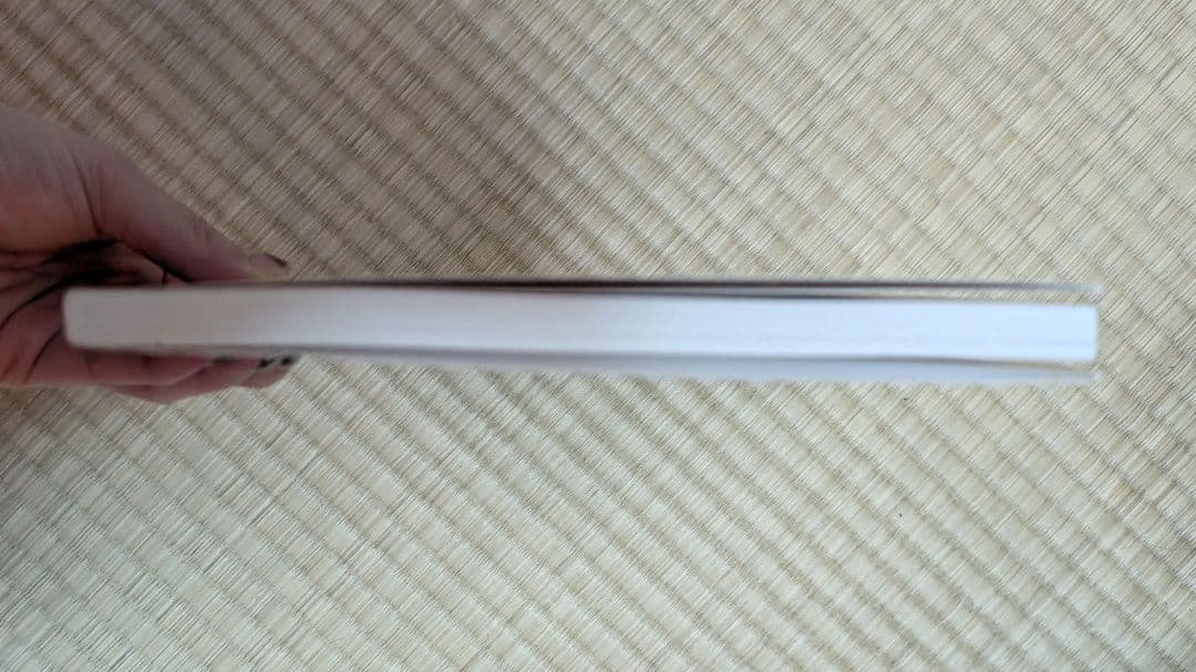 鯉江良二 DAIWA PRESS VIEWING ROOM10