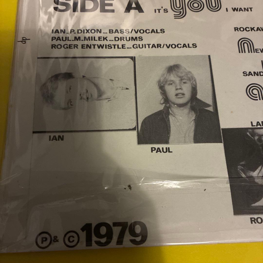 THE CYBERMEN パンク天国　powerpop名盤