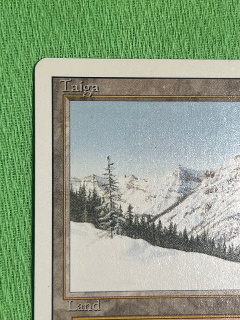 マジック：ザ・ギャザリング MTG Taiga