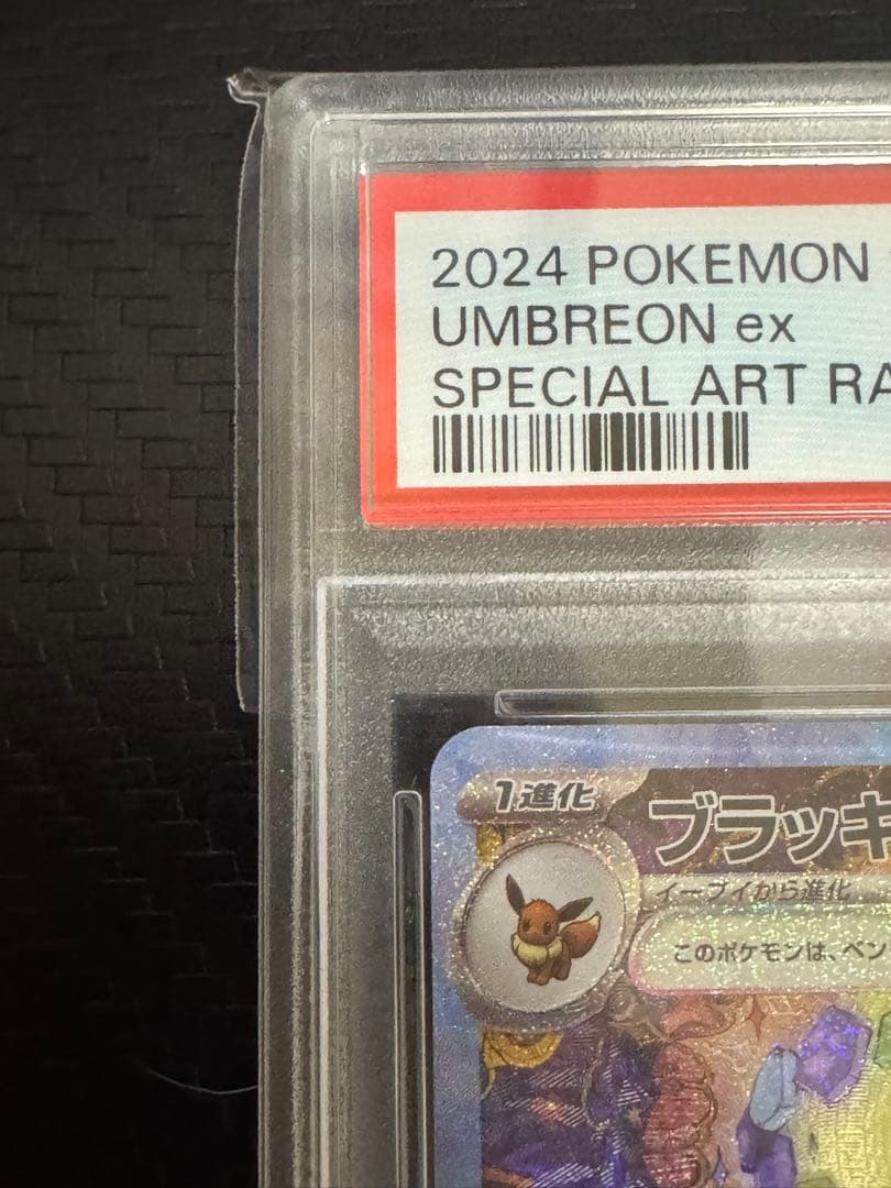 ポケカ ブラッキーex SAR SV8a テラスタルフェスex 217/187