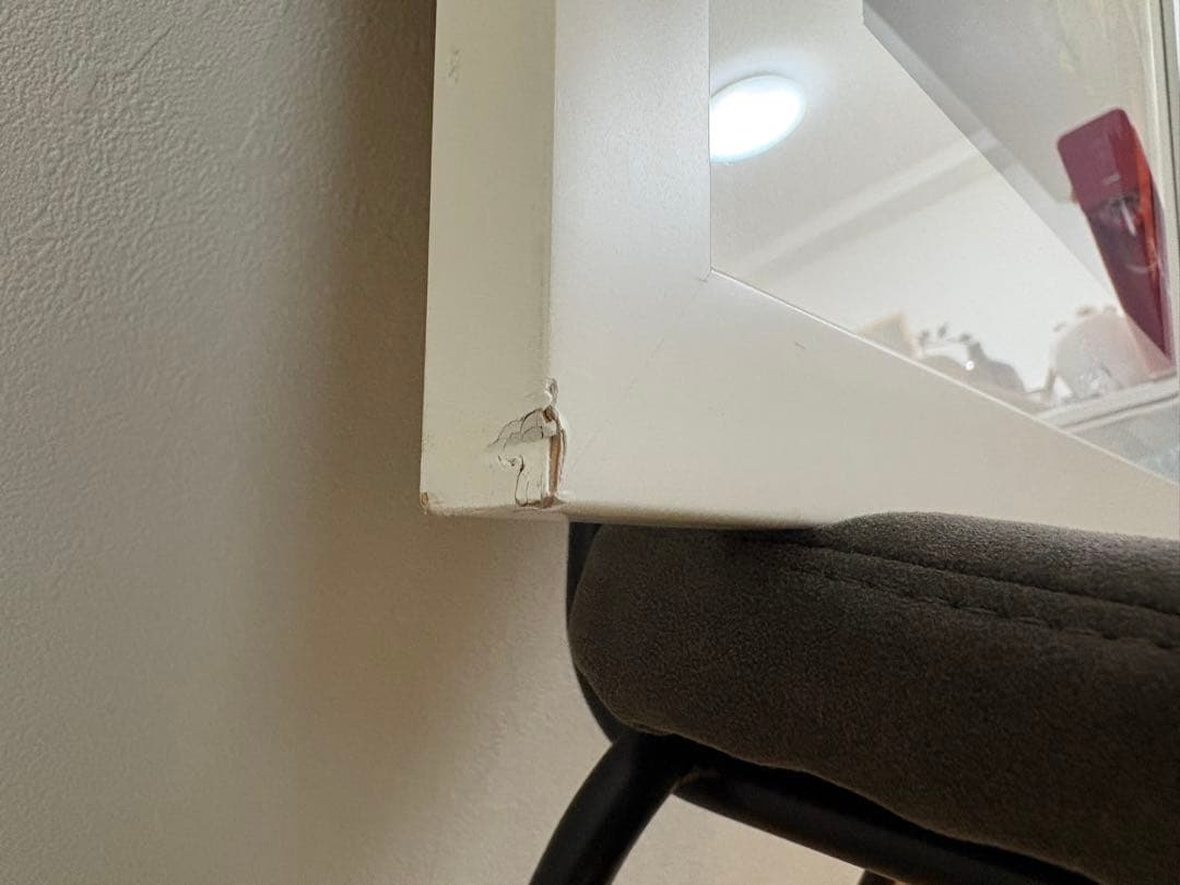 ジョジョ　複製原画　承太郎とイギー