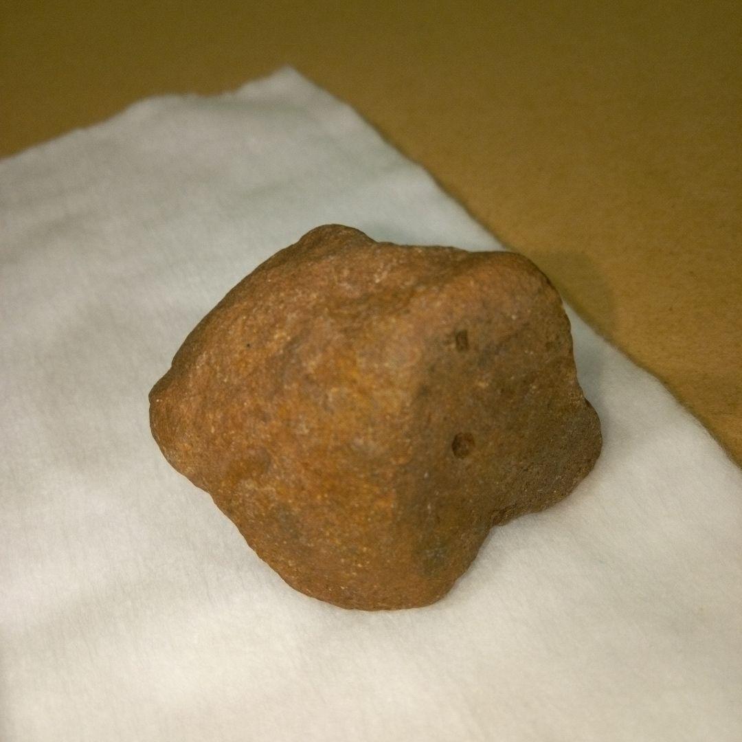 三葉虫　化石　三葉虫化石　究極のレトロ　fossil　ボリビア産　化石管理番号③