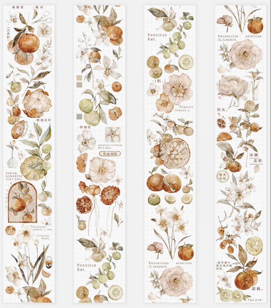 《最終値下げ》海外 マスキングテープ　雀斑茶 6点⚠️pet（33.324