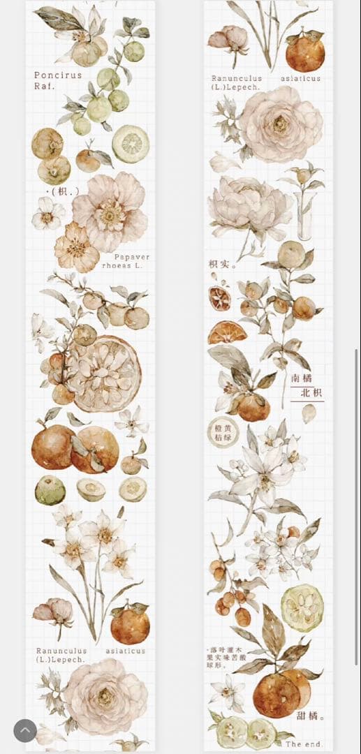 《最終値下げ》海外 マスキングテープ　雀斑茶 6点⚠️pet（33.324