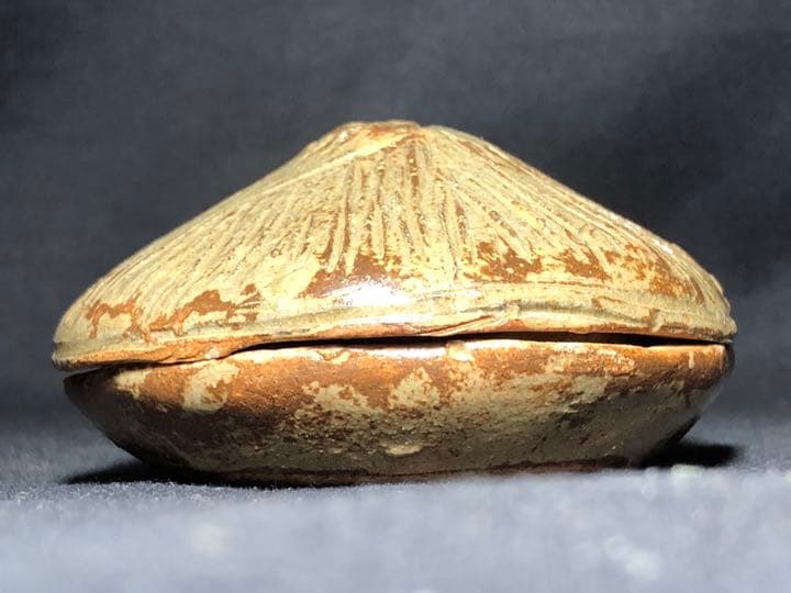 【茶道具】楽山焼 茅葺香合 香合211