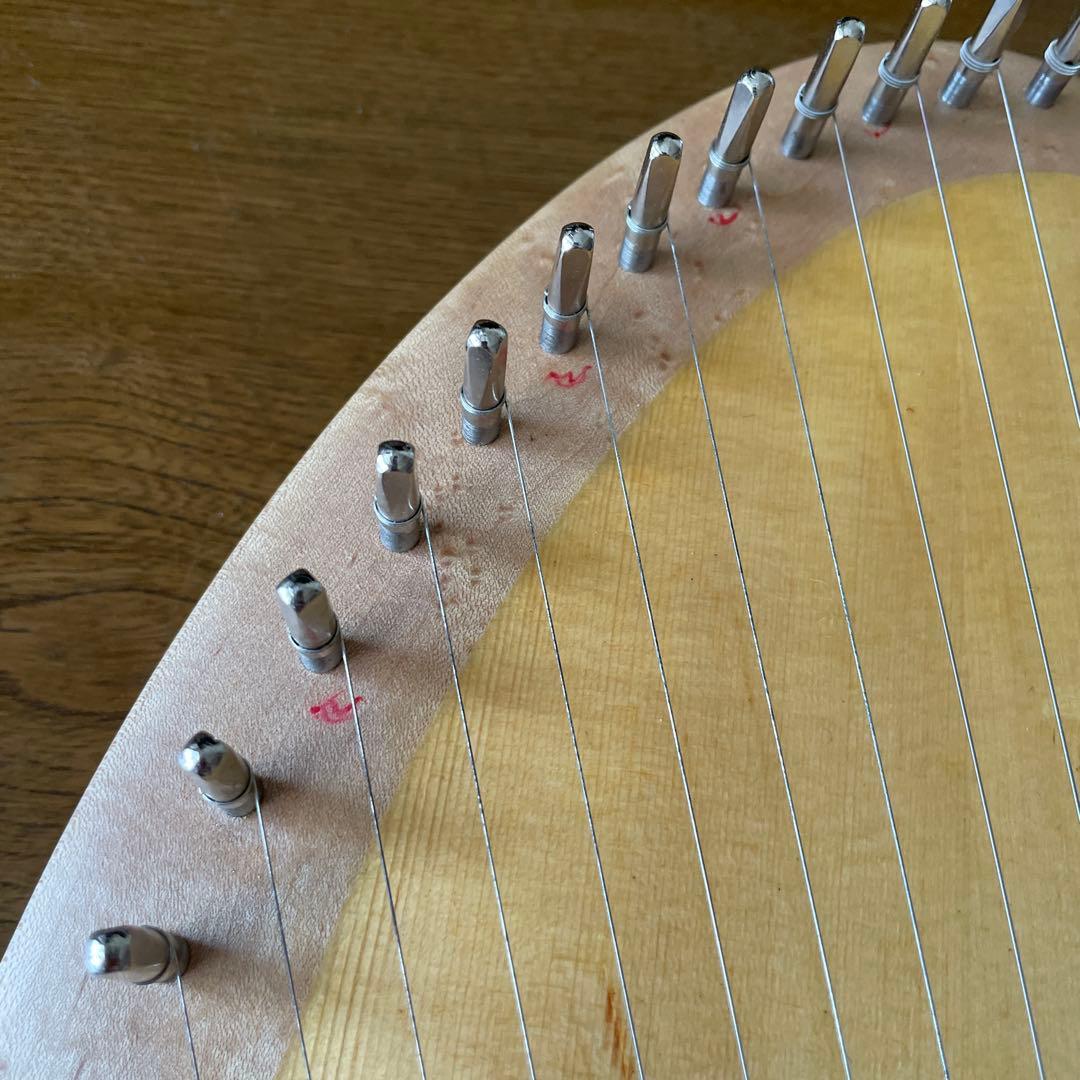 英円楽器 ライア 12弦