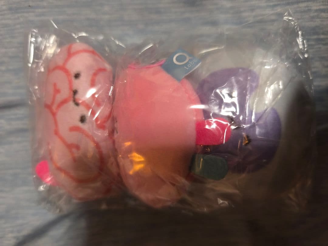 もちもちにんげんのからだ　ぬいぐるみ　セット　22種