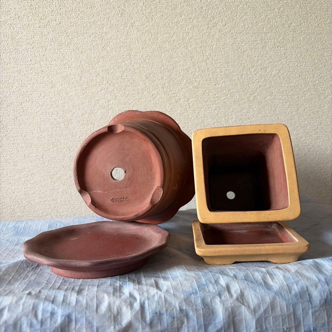 植木鉢　中国宜興　宜興　朱泥　盆栽