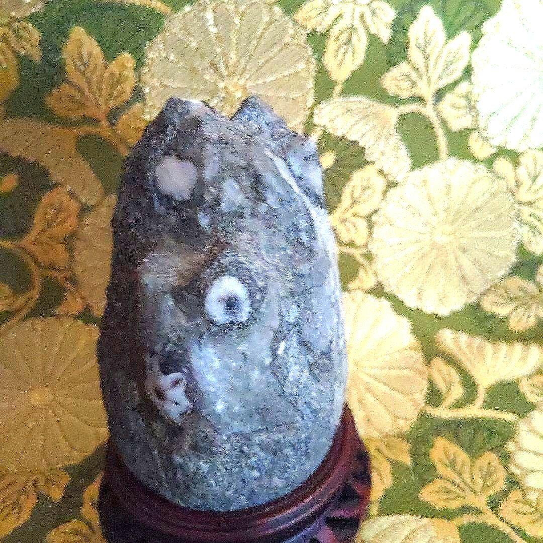 【最終価格】門司　梅花石　台座付　水石　盆石