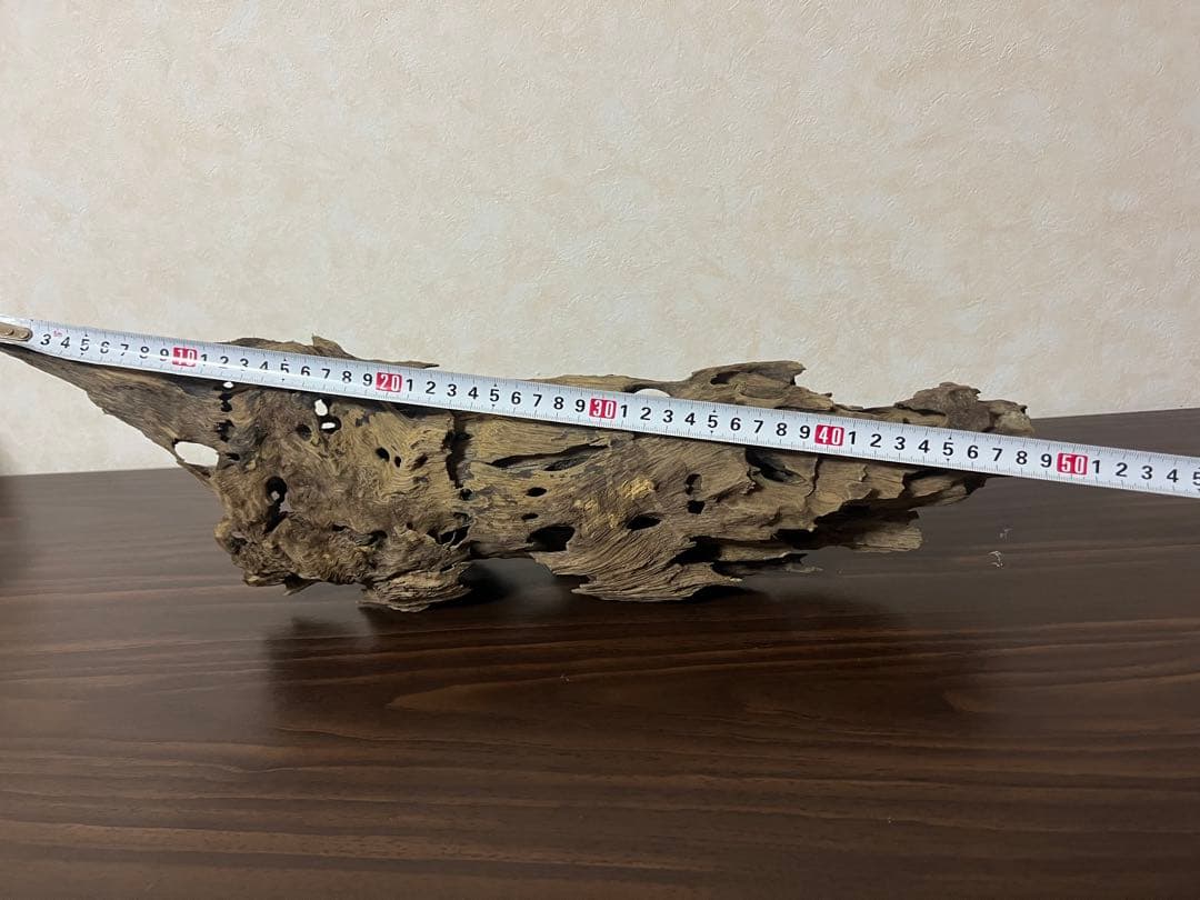 XM-456 流木　マシンガンウッド　アクアリウム　ブランチウッド　沈水確認済