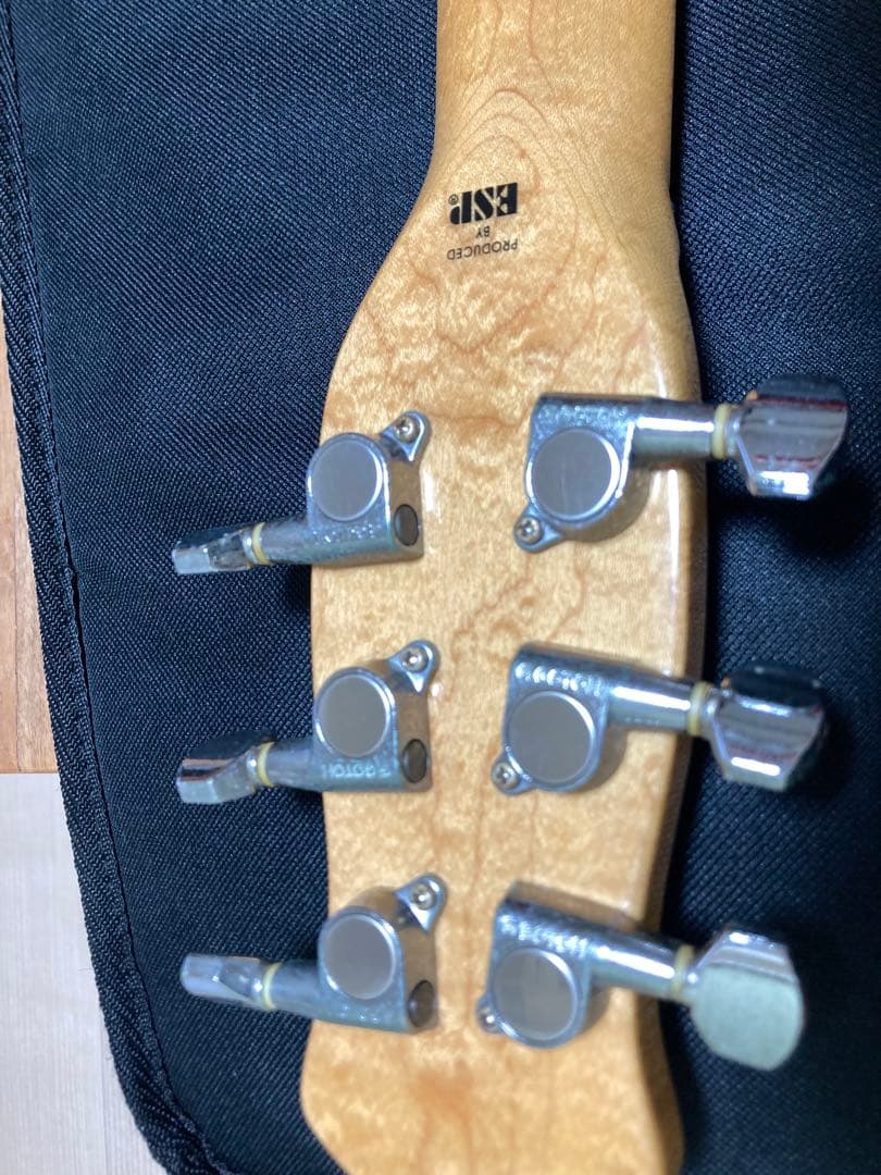 randomstar guitar エレキマン様