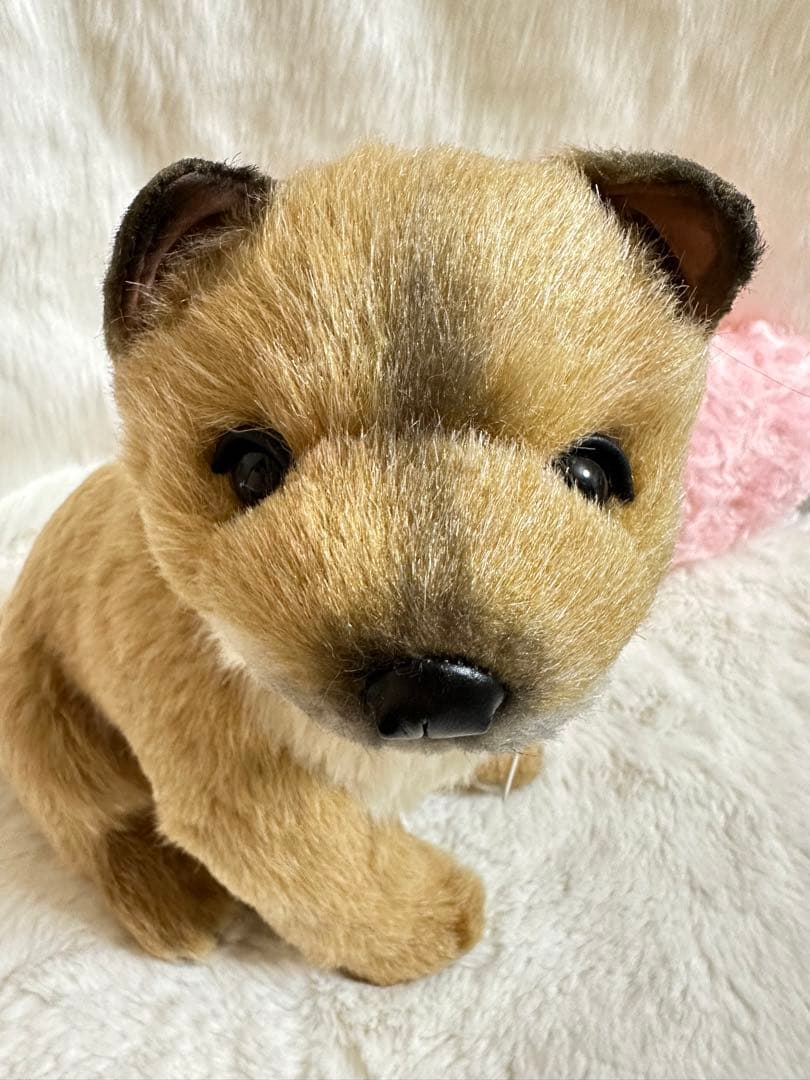 ☆希少！☆四季オリジナル☆柴犬☆ジロー　座り☆未使用