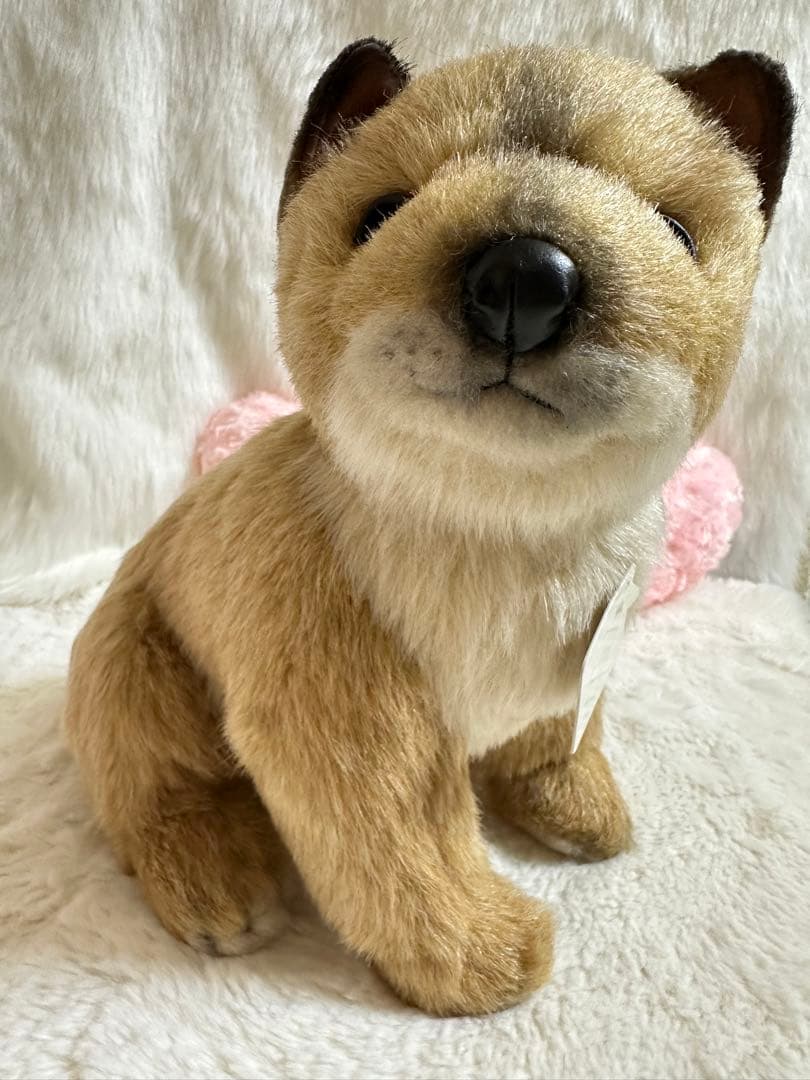 ☆希少！☆四季オリジナル☆柴犬☆ジロー　座り☆未使用