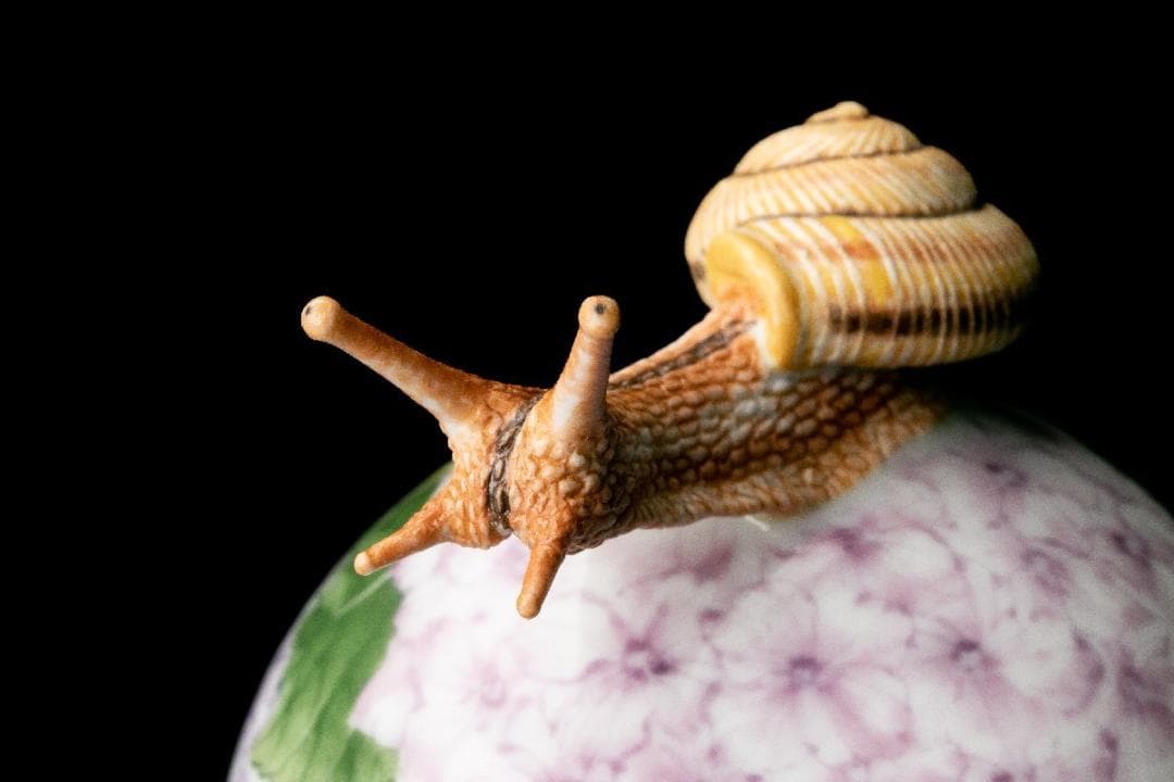 【新品未使用】入手困難作家！春うらら『伊藤早苗』最上位作 釉下彩紫陽花蓋物 共箱