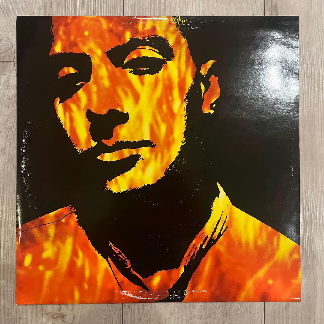 その他 nitin sawhney - beyond skin