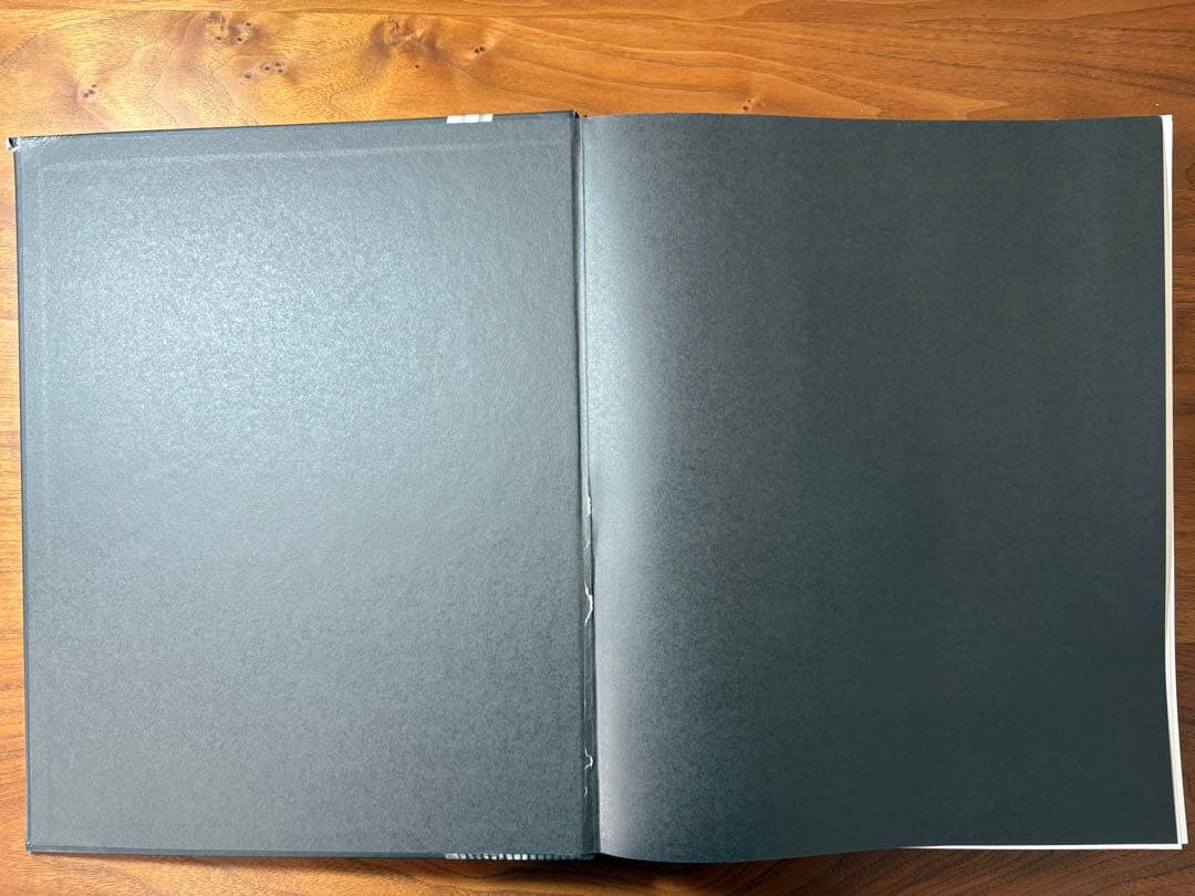 Alan Schaller Metropolis 写真集